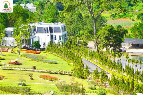 Điểm check in mới toanh giữa rừng thông xanh chân Núi Voi ở Đà Lạt