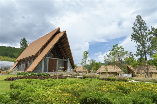 Rừng Thông Núi Voi - Điểm du lịch sinh thái mới giữa lòng Đà Lạt